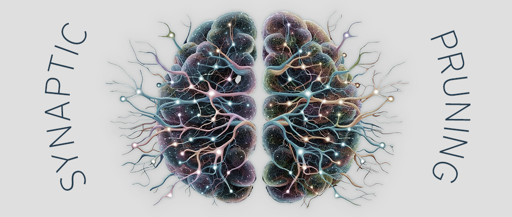 Illustration showing synaptic pruning and neuronal connections during early childhood brain development