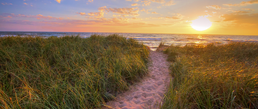 Peaceful sandy path leading to the ocean at sunset
