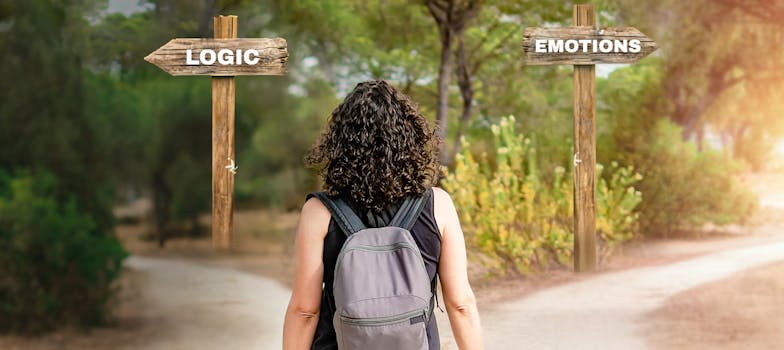 A person standing at a forked road, one sign says “Logic” and the other says “Emotions”