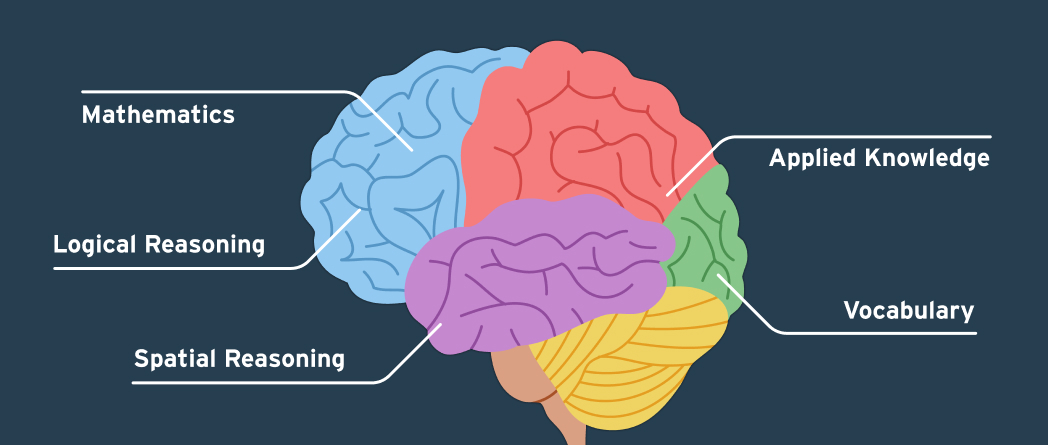 Diagram of a brain labeled with cognitive skills like memory, focus, flexibility, and reasoning