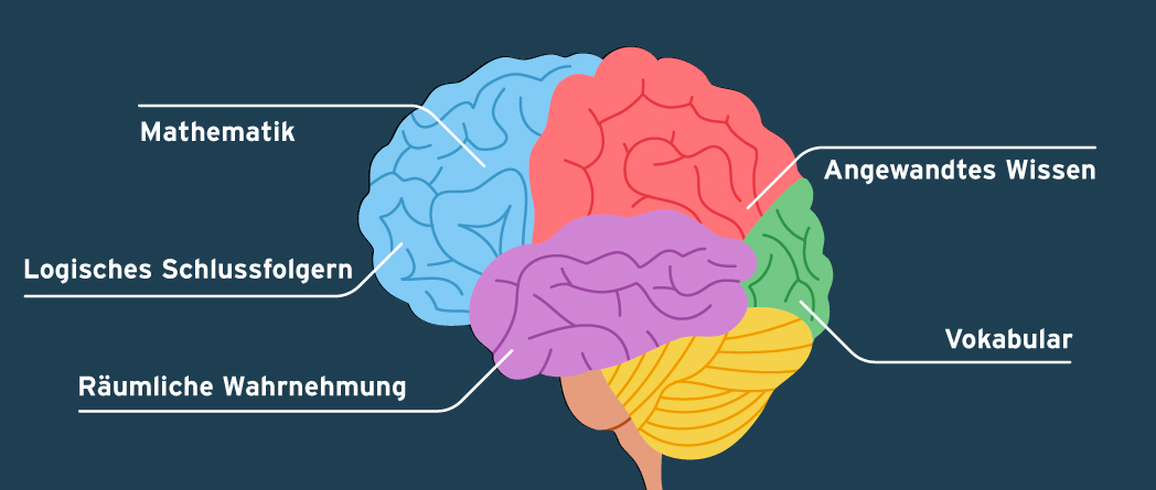 Diagramm eines Gehirns, das mit kognitiven Fähigkeiten beschriftet ist